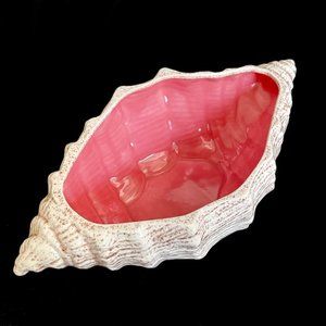 Hand Crafted | Art | Vintage 98s Italian Conch Shell Soup Tureen Signed ...